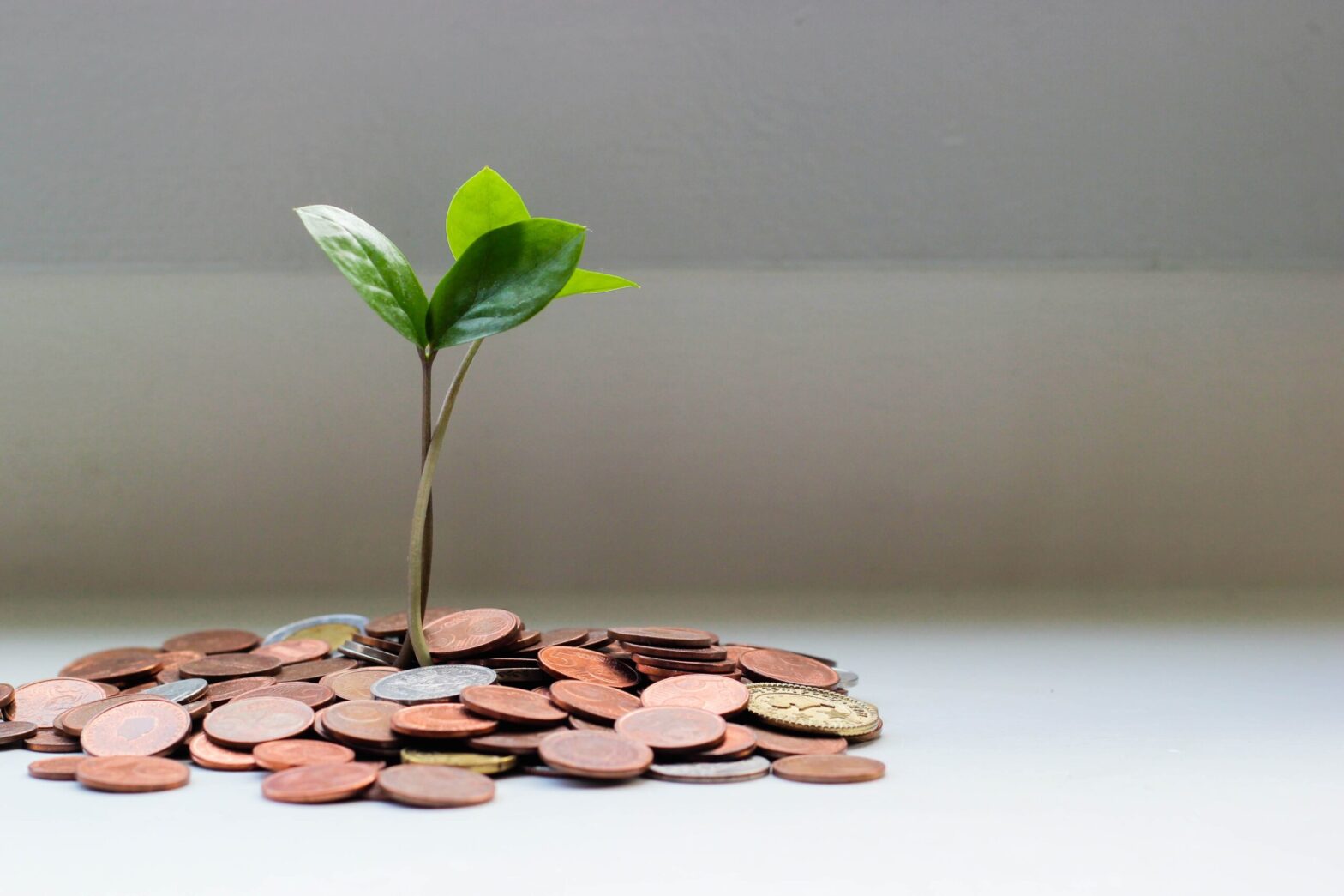 5 Tactics to Boost E-Commerce Sales Now in a Sluggish Economy